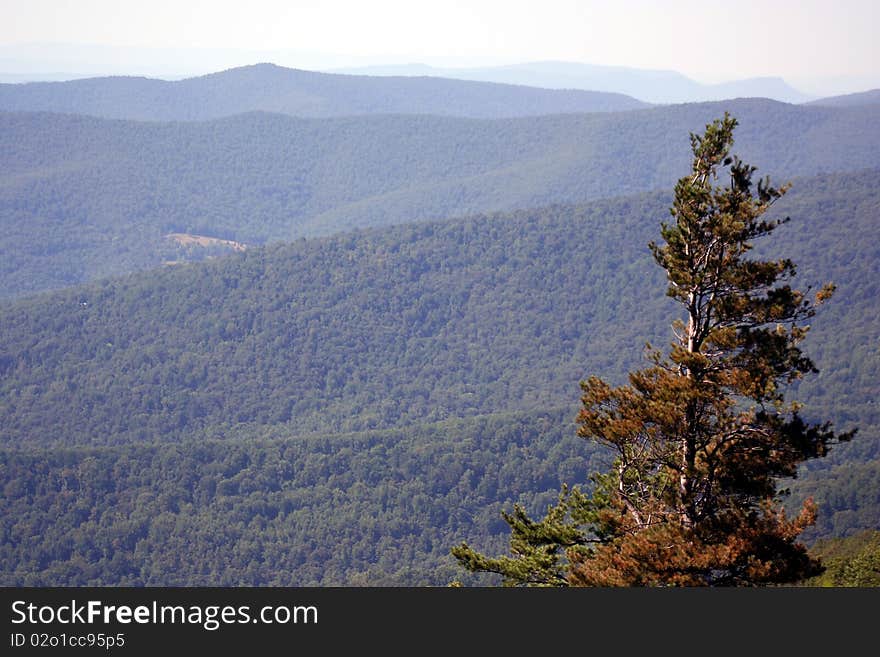 Shenandoah Valley during summer with views of blue ridge mountains