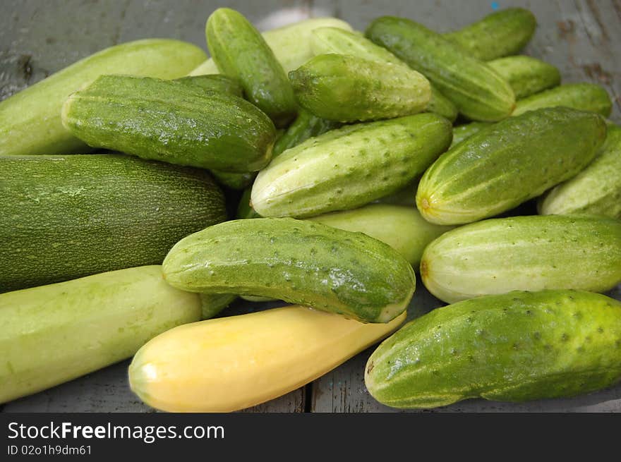 Cucumbers are collected in the garden are on the table. Cucumbers are collected in the garden are on the table