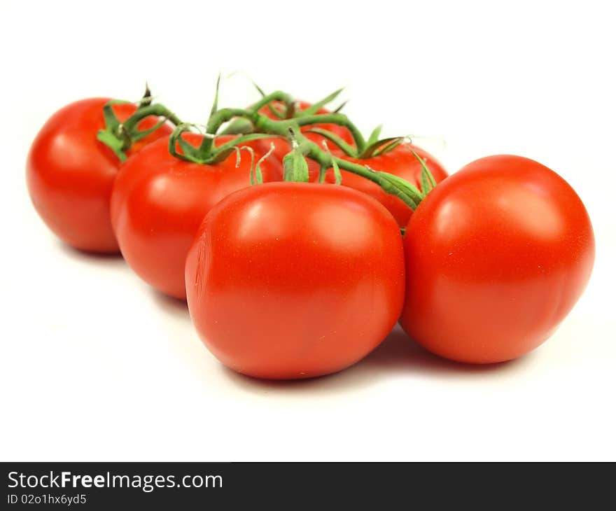 Studio photo of isolated vegetable. Studio photo of isolated vegetable