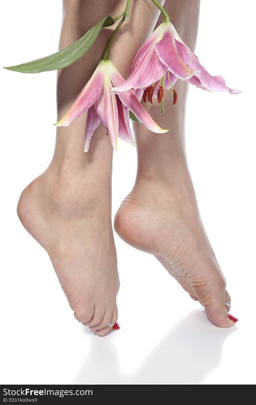 Woman  feet legs and flowers over white