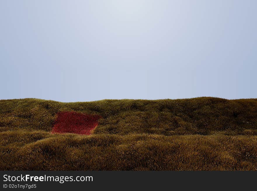 Grassy gold field of tall grass with a red patch of grass conveying a message of opportunity.