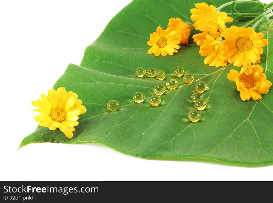 Pills with marigold flowers