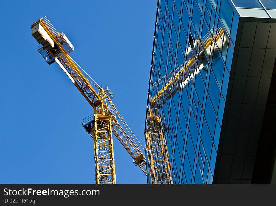 Crane Reflection