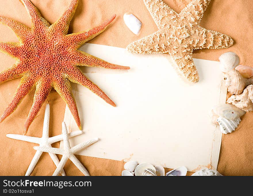 White paper and starfishes on sand background. White paper and starfishes on sand background