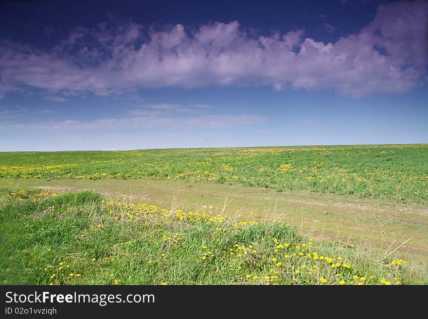 Spring field and blue sky from clouds