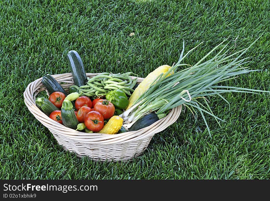 Fresh Vegetable Basket