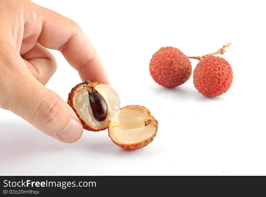 Litchi