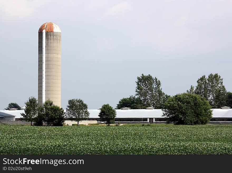 Silos and Farming