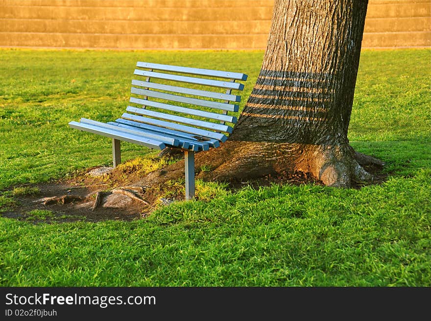 Inviting bench under an old tree