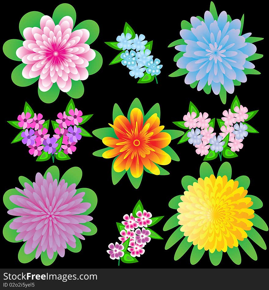 Bright flowers on a black background