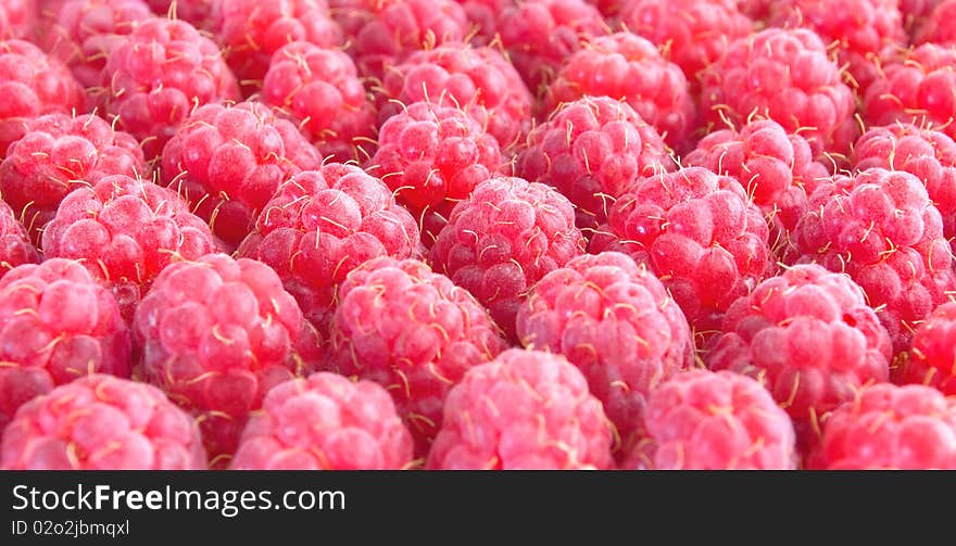 Berries, raspberries arranged in rows, close-up, close-up. Berries, raspberries arranged in rows, close-up, close-up.