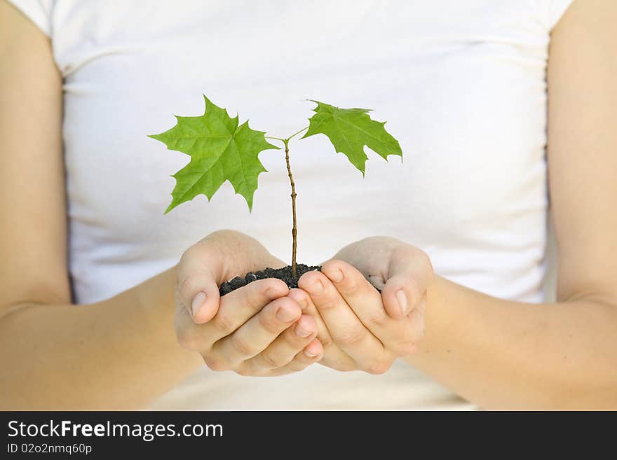 Wooman holding a plant between hands on white