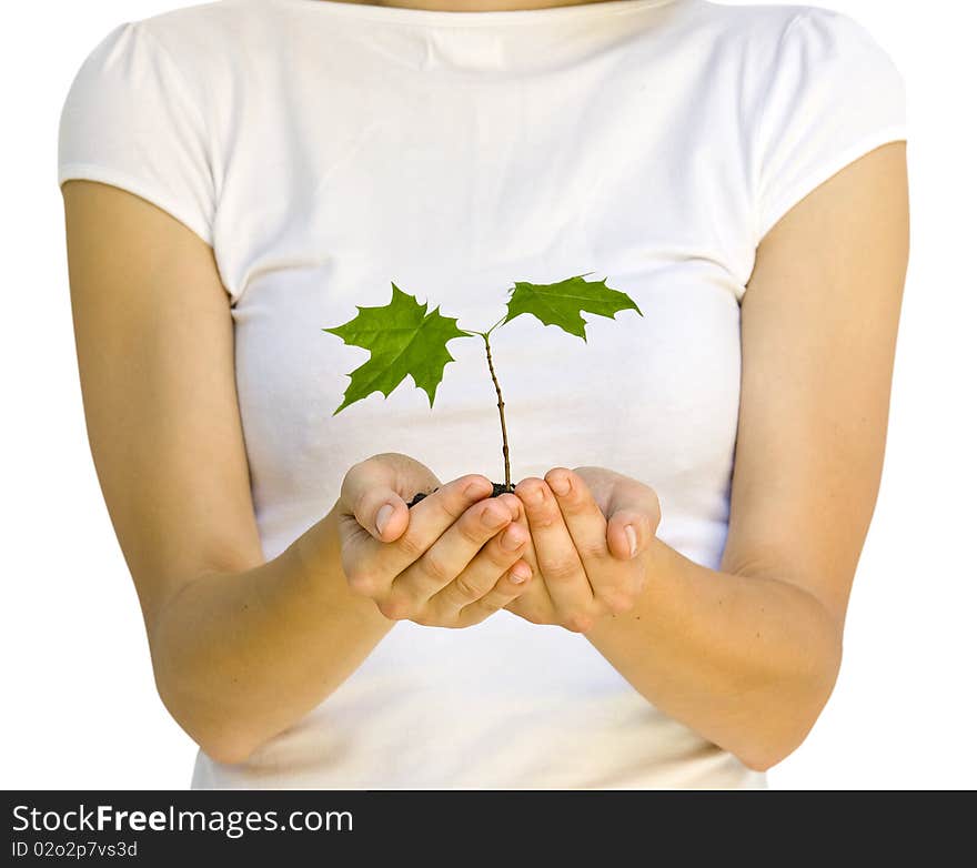 Wooman holding a plant between hands on white