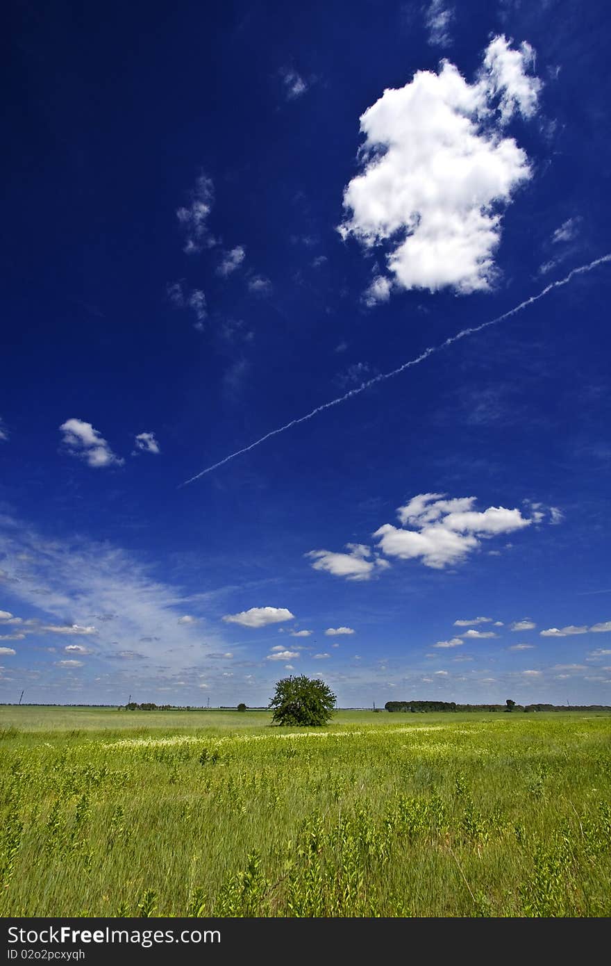 Field blue sky trail aircraft