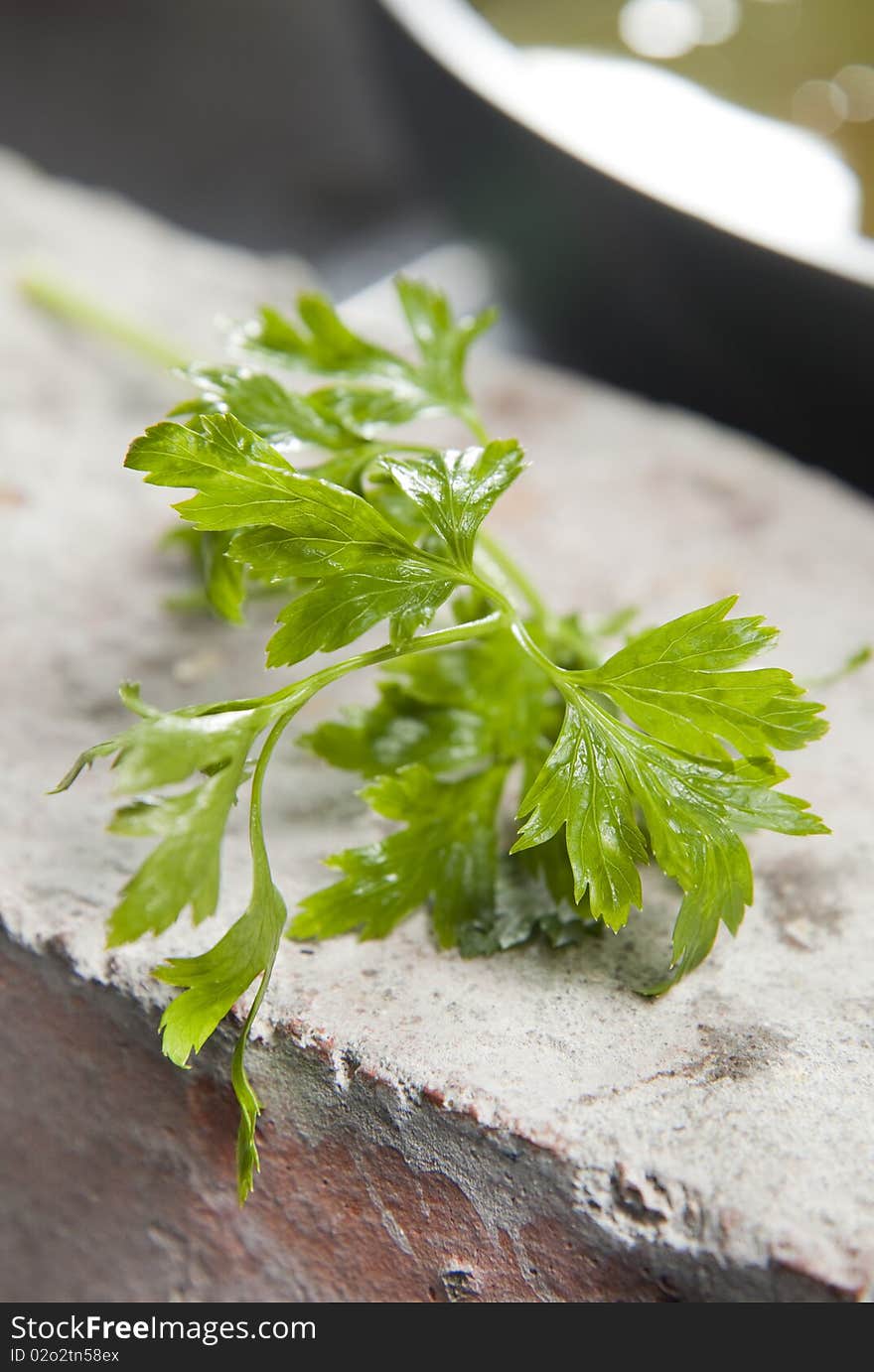 Parsley in kitchen