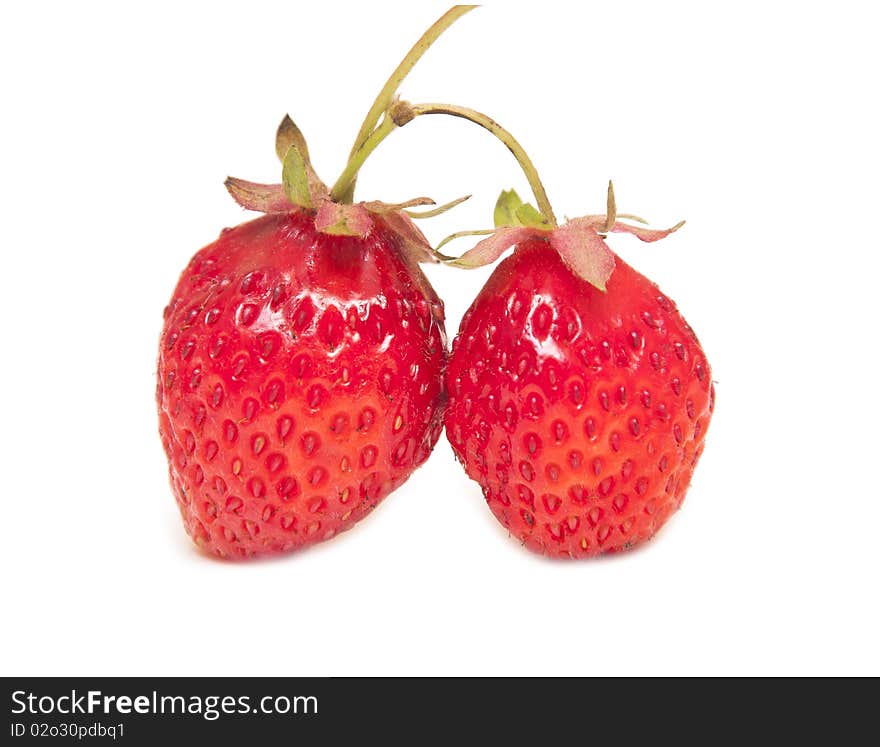 Fresh and tasty strawberries isolated on white background. Fresh and tasty strawberries isolated on white background