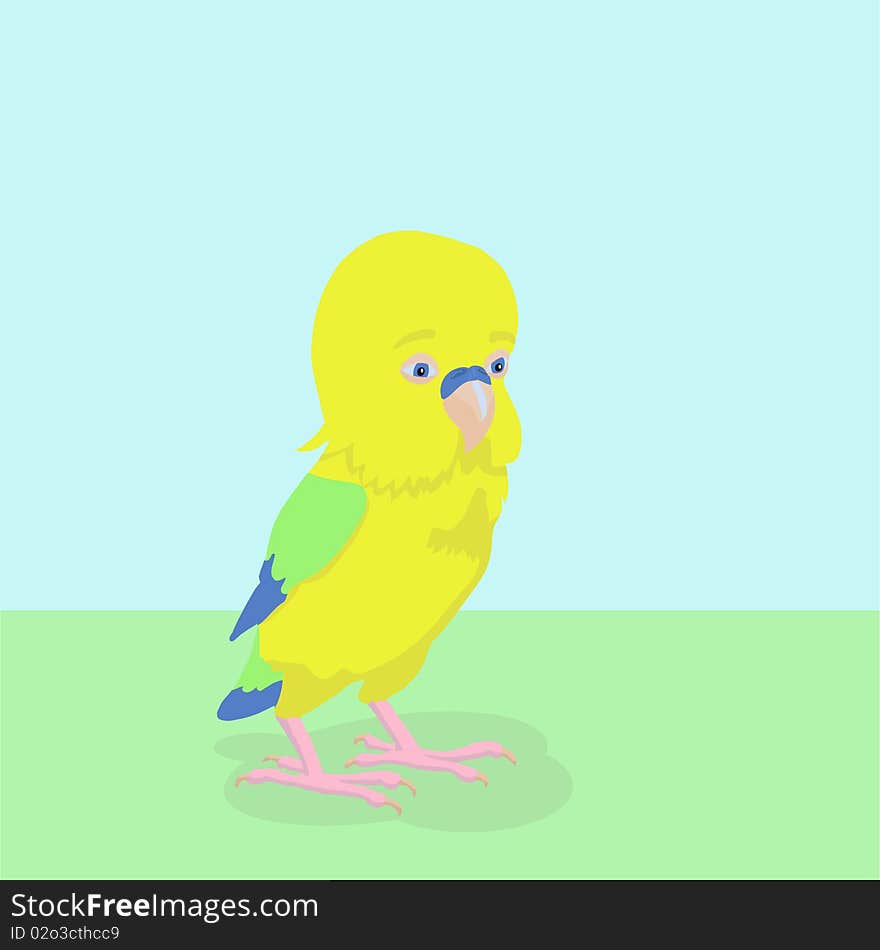 Cute Little Thoughtful Parrot