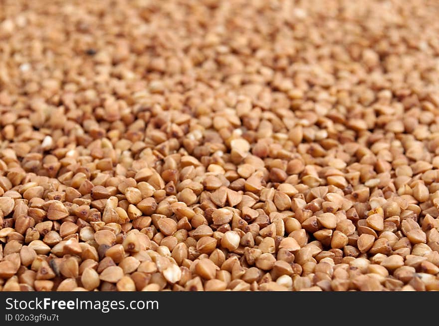 Croup of buckwheat. Background,texture. Croup of buckwheat. Background,texture