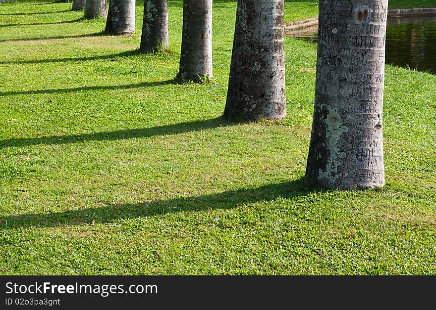 Image of a park in chiang mai city. Image of a park in chiang mai city