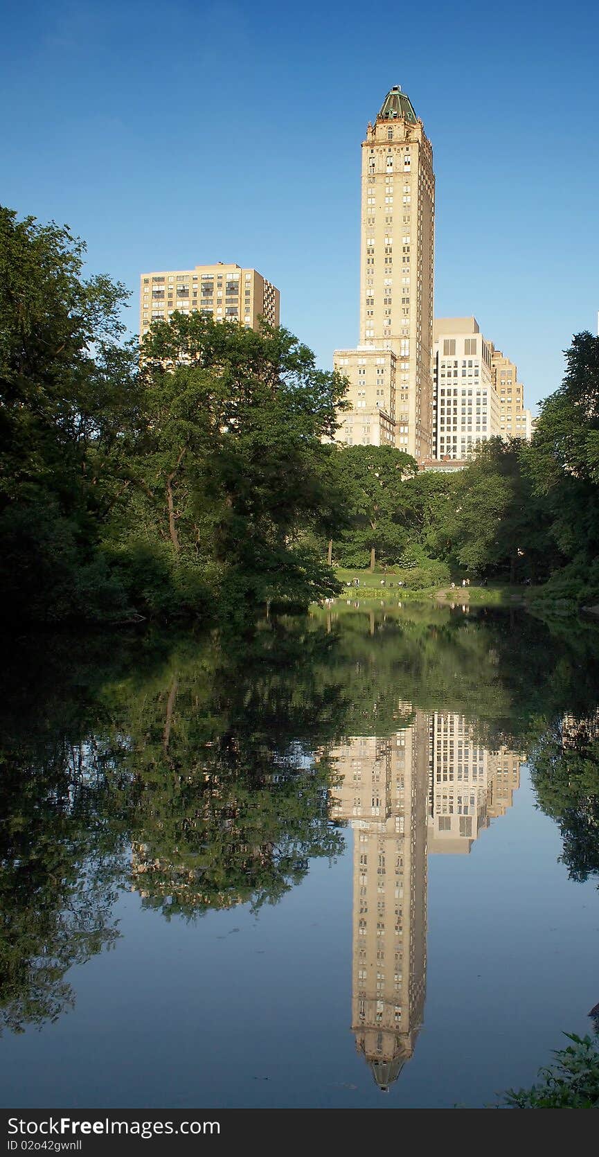 Park In New York