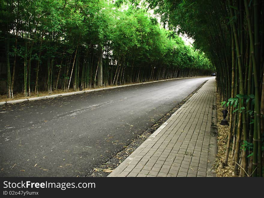 Bamboo garden