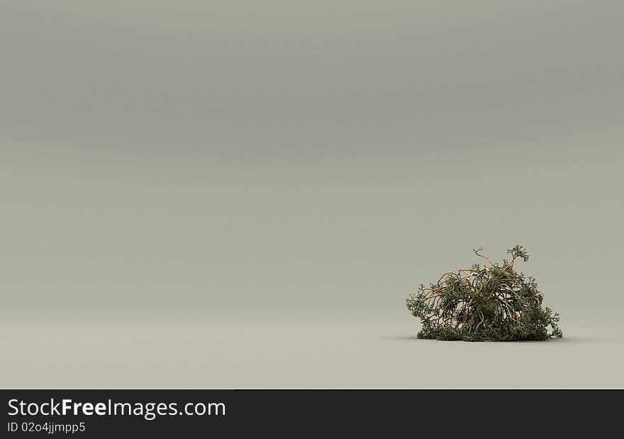 3D Image of isolated fantasy tree