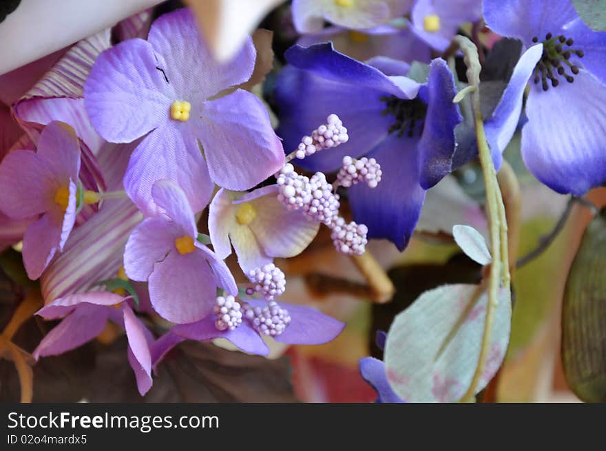 Purple violet in the garden