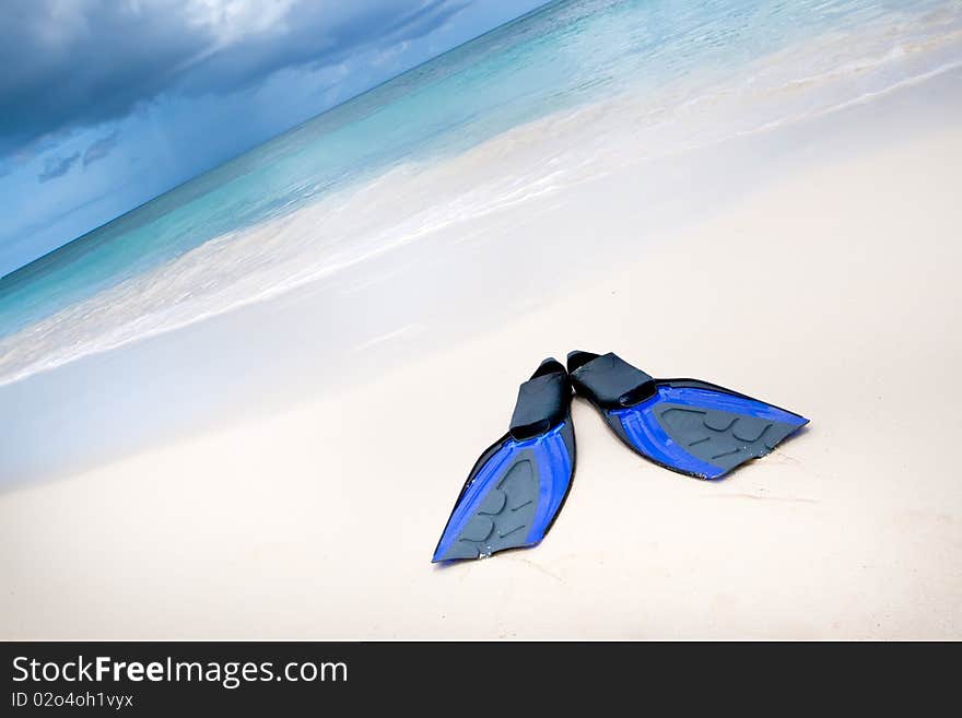 Coconut with black sunglasses and blue flippers