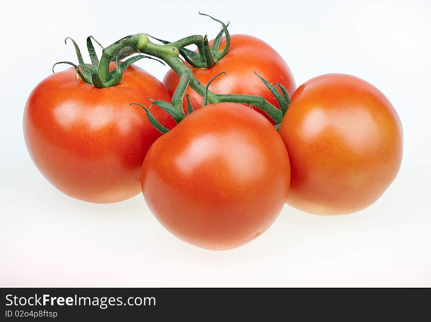 Juicy tomatoes isolated