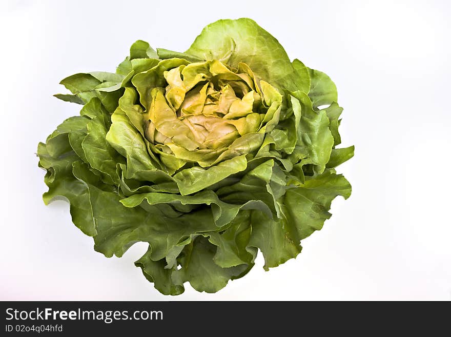 Ham slices isolated over leafs of lettuce. Ham slices isolated over leafs of lettuce