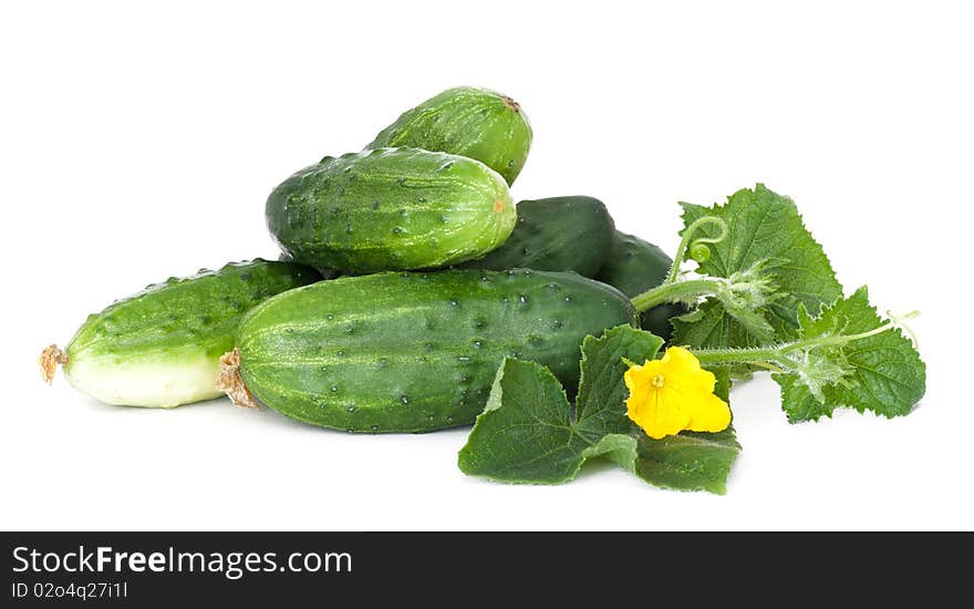 Cucumbers on white with flower