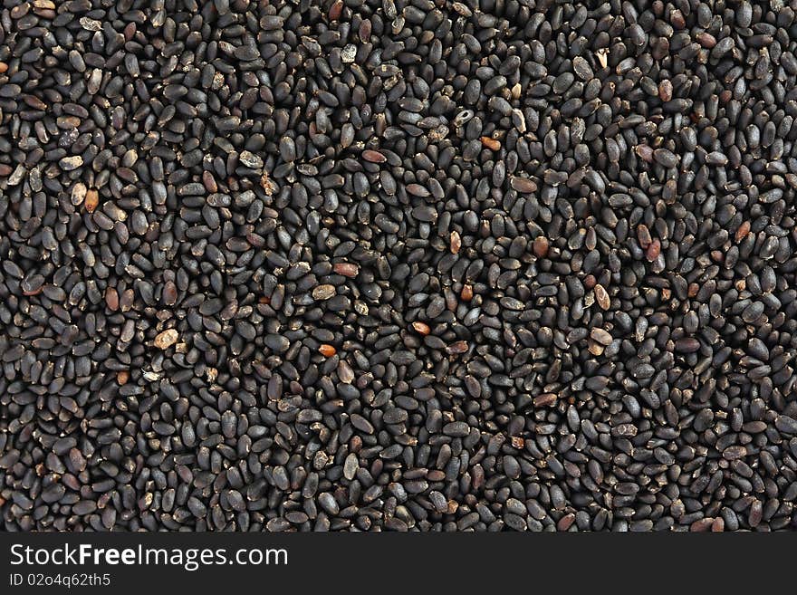 Dry sweet basil seed.