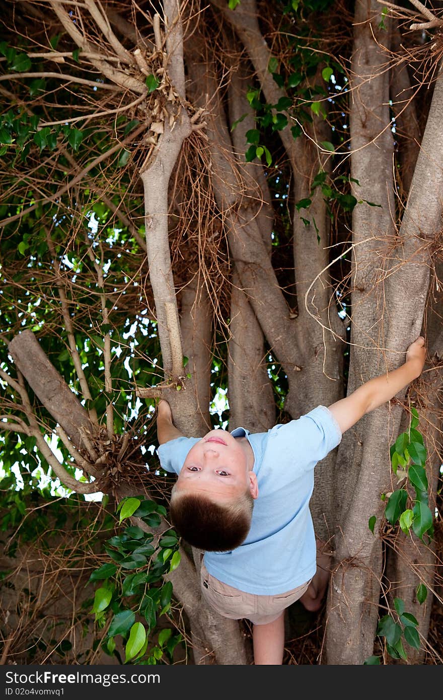 Boy climbing a tree outside in a blue shirt. Boy climbing a tree outside in a blue shirt