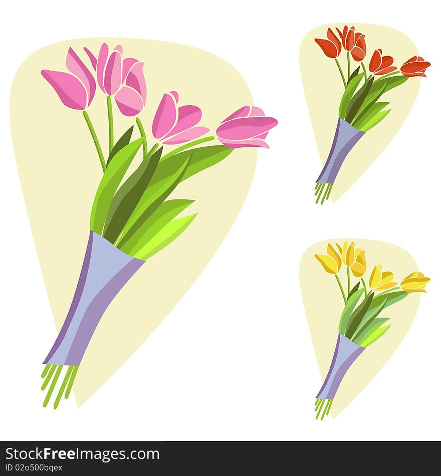 Three different tulip flowers vector