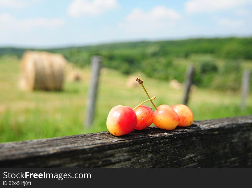 Cherries on wood