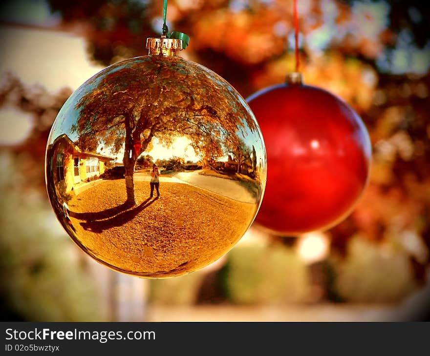 Red and gold ornaments hanging from a tree. Red and gold ornaments hanging from a tree