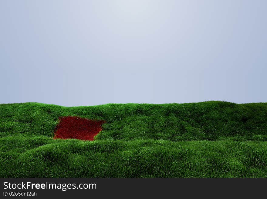 Grassy green field of tall grass with a red patch of grass conveying a message of opportunity.