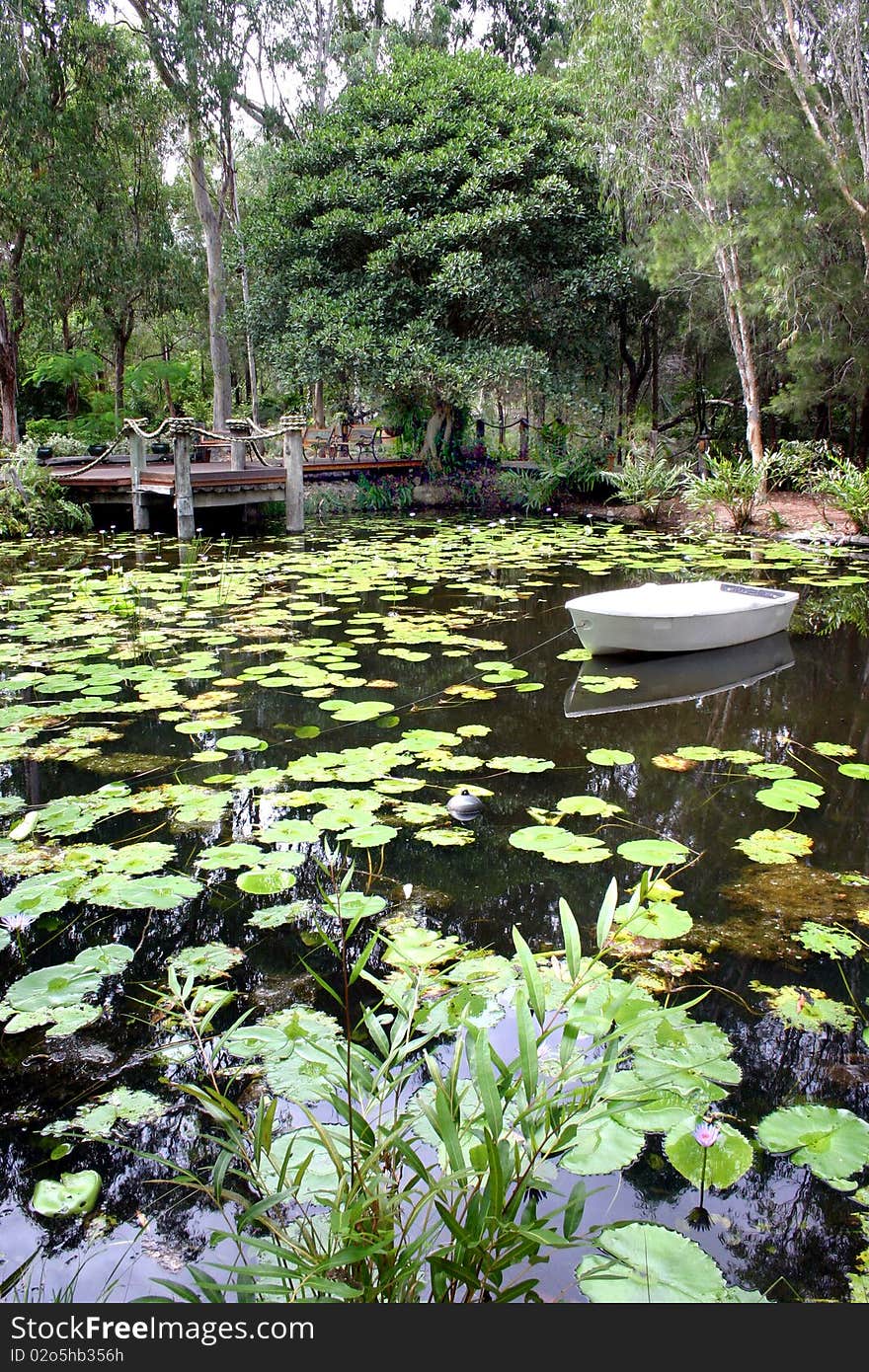 Peaceful garden lake with lily pond