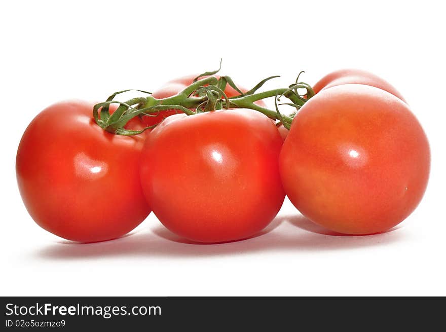 Tomatoes