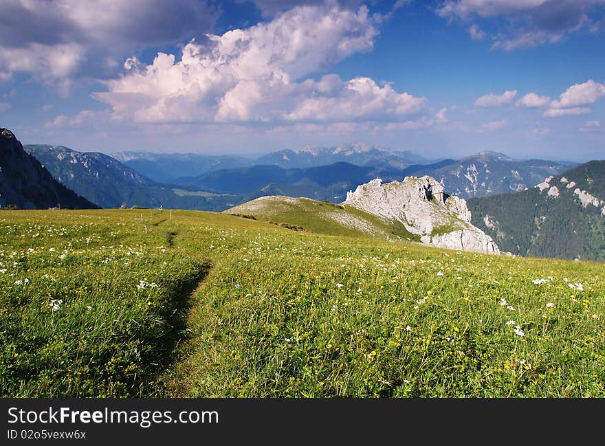 Mountains meadow full of flower with blue sky with clouds