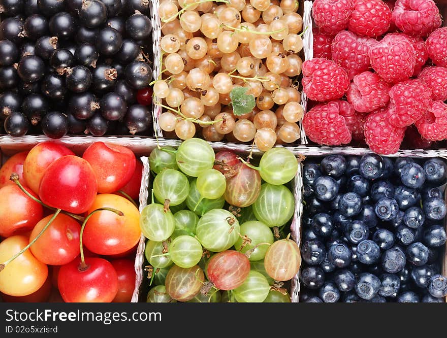 Different colourful berries in the box. Different colourful berries in the box