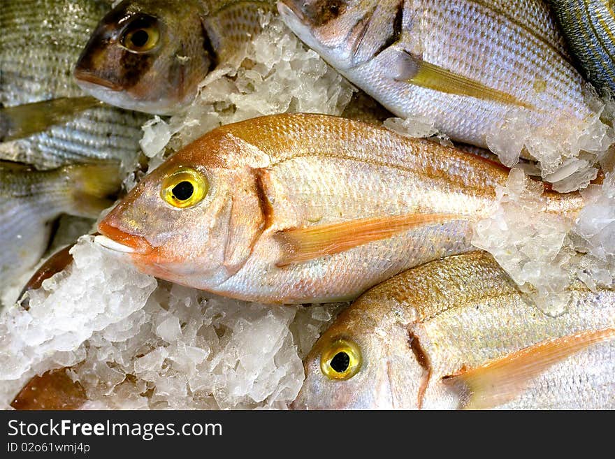 Fishes in a restaurant over ice