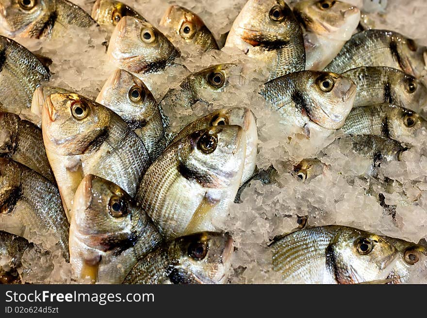 Fishes in a restaurant over ice