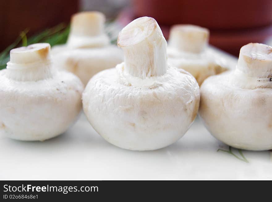 Mushroom champignon with green parsley leaves. Mushroom champignon with green parsley leaves