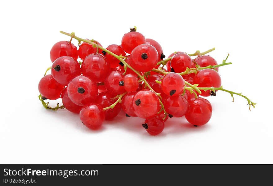 Picture of clusters of red currant on a white background