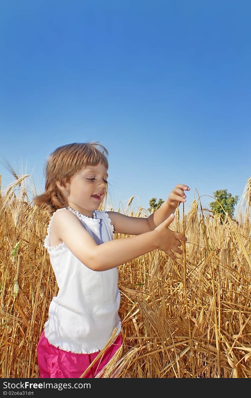 Little girl ( 3 years old) on a wheat field - farming concept. Little girl ( 3 years old) on a wheat field - farming concept