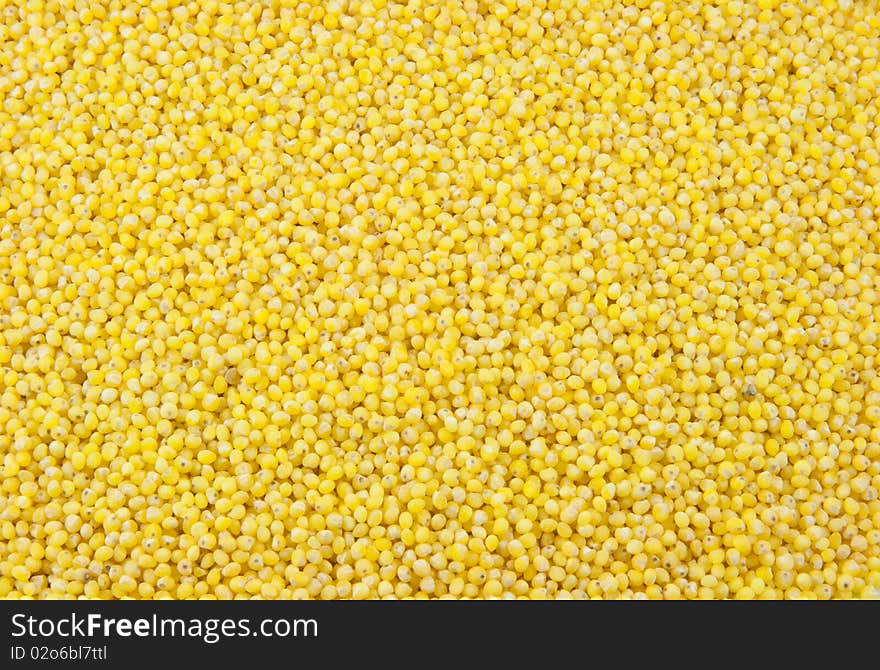 Millet grains background, studio picture. Millet grains background, studio picture