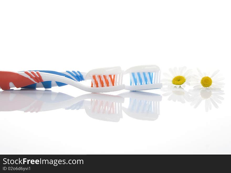 Two toothbrushes red and blue with toothpaste isolated on a white background and daisies. Metaphor sedation gum. Two toothbrushes red and blue with toothpaste isolated on a white background and daisies. Metaphor sedation gum