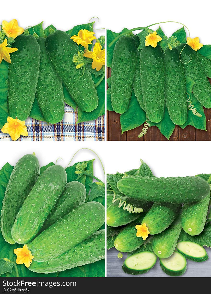 Set of cucumbers