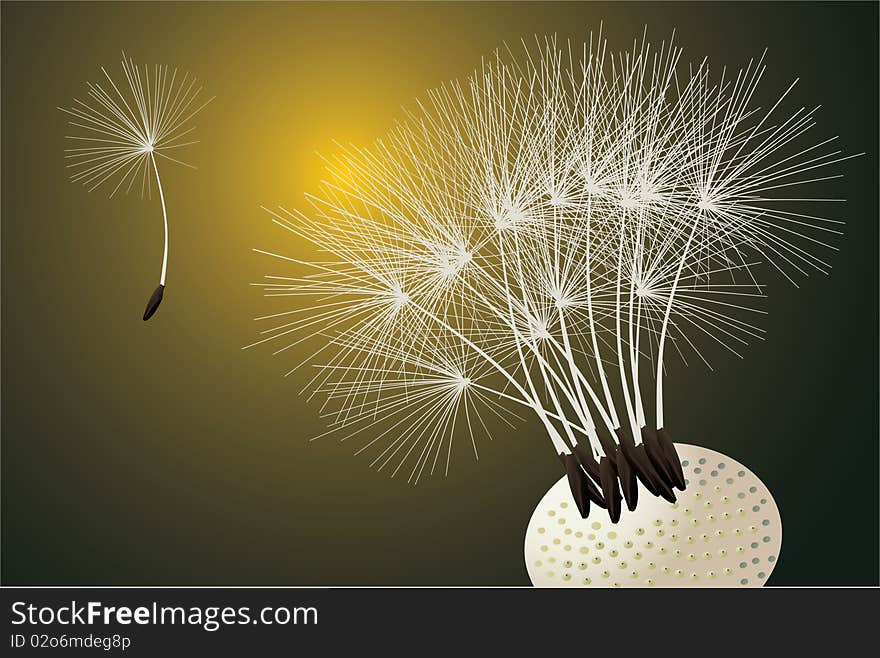 Illustration with single dandelion on dark background